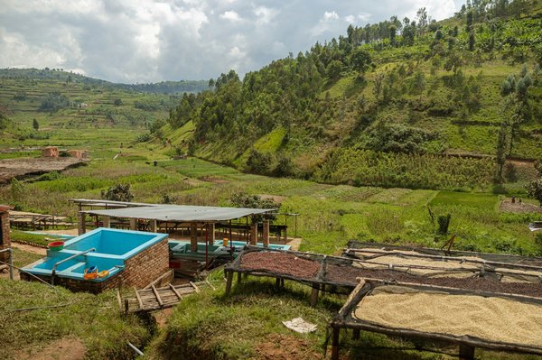 Comment les petits cafés peuvent-ils implémenter un programme de recyclage efficace pour leurs consommables ?